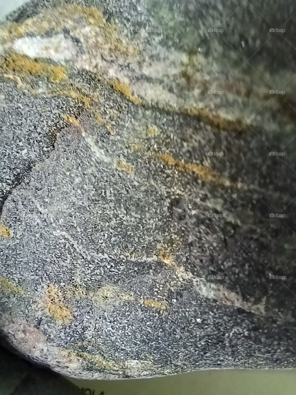 a look at a lake rock, from the mighty Lake Huron.