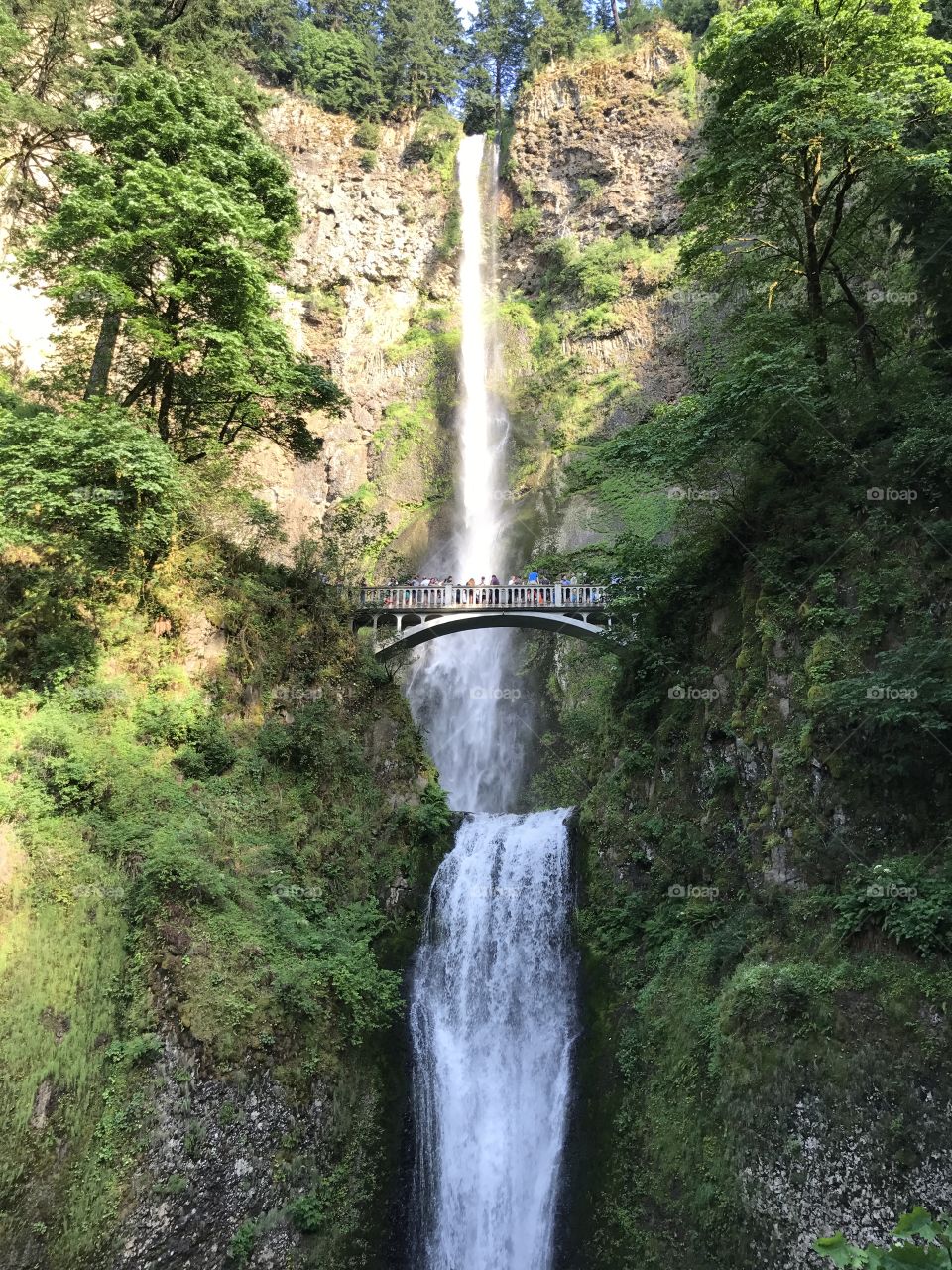 Multnomah Falls, Oregon