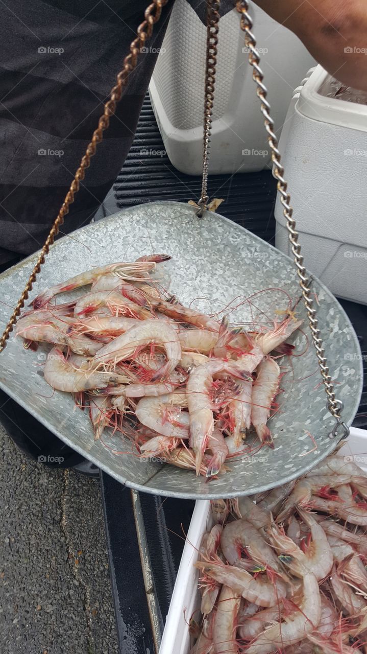 La. Gulf Shrimp For Sale