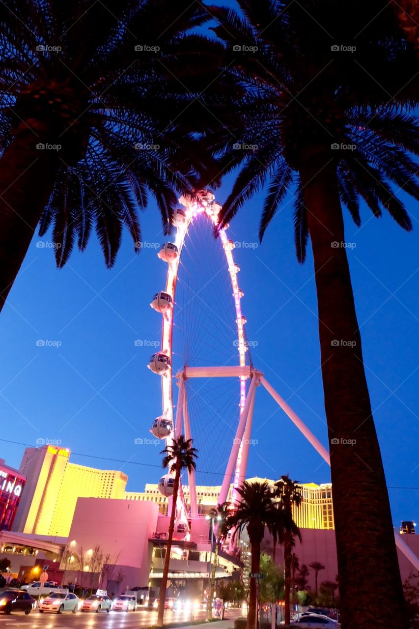 High roller through the palms 