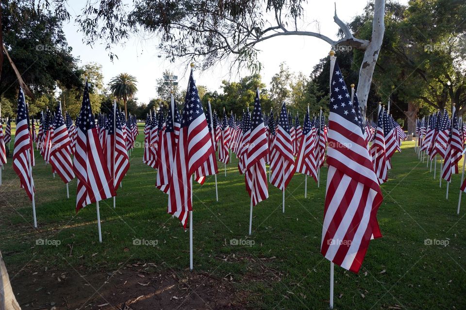 USA Flags. Memorial Day. 