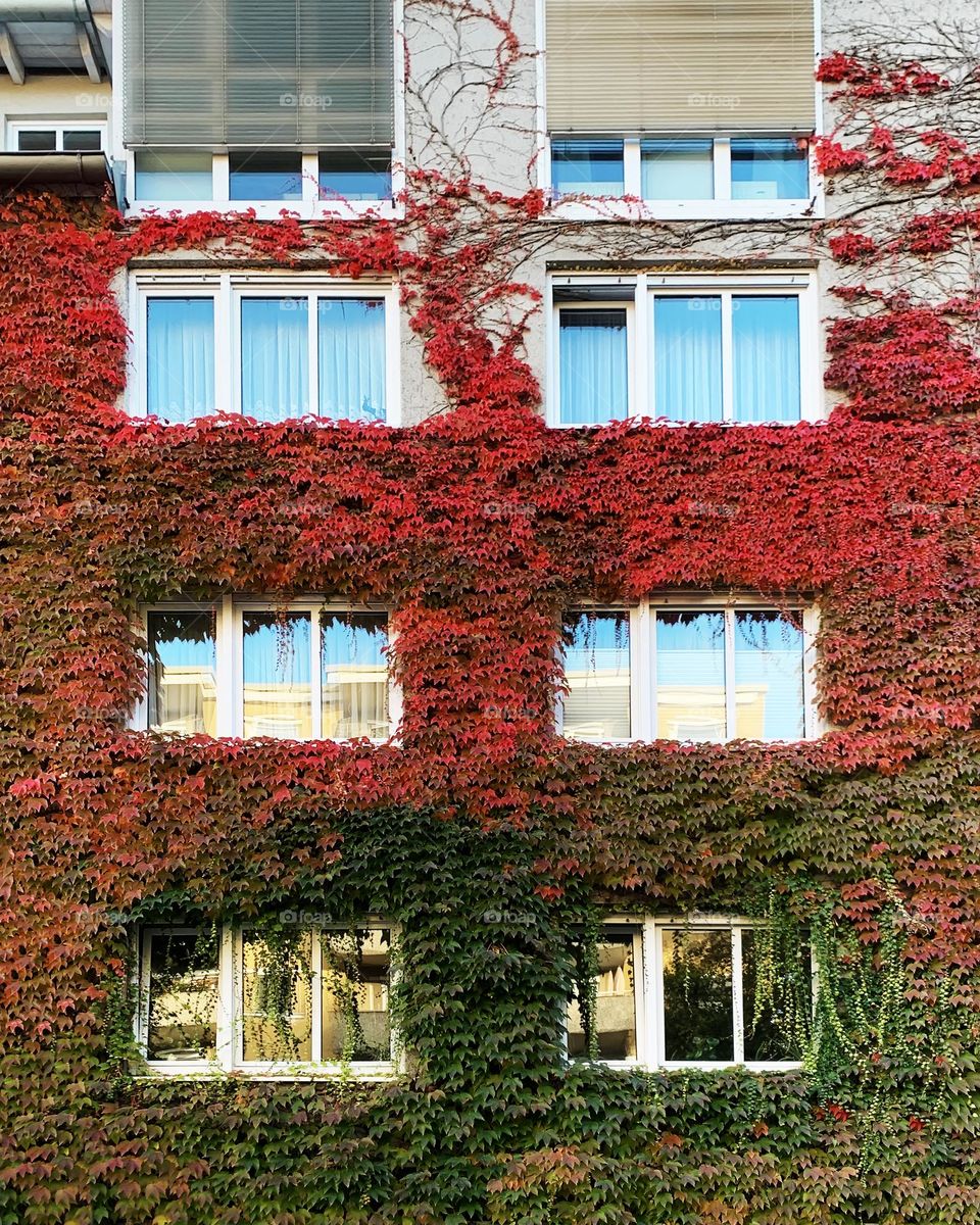 Autumn in the city 