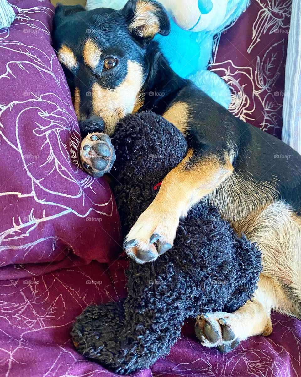 Best friends forever