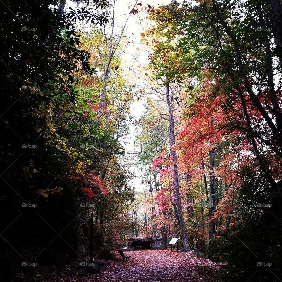 Exiting the Stump House Tunnel