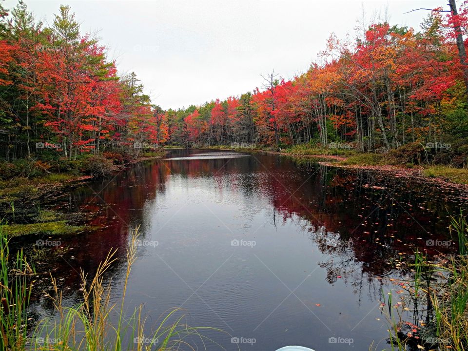 Reflections of Early Autumn!