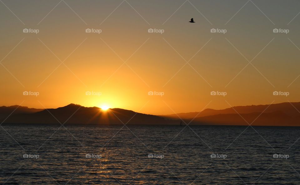 sun setting. Bird flying. Mountain. Waves. San Francisco Bay