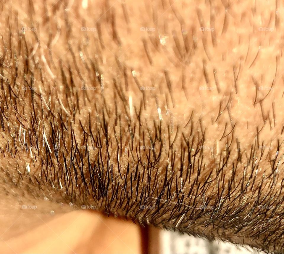 I love the detail in this picture. This is a short beard. I like that some hairs are white. It reminds me of a bed of thorns.