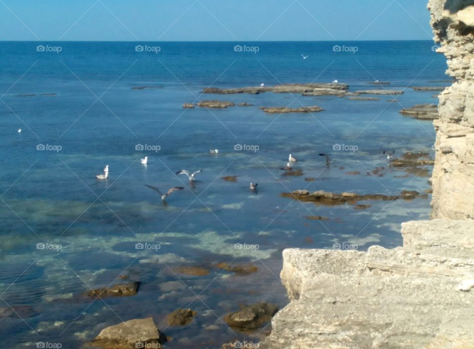 Water, No Person, Sea, Seashore, Outdoors