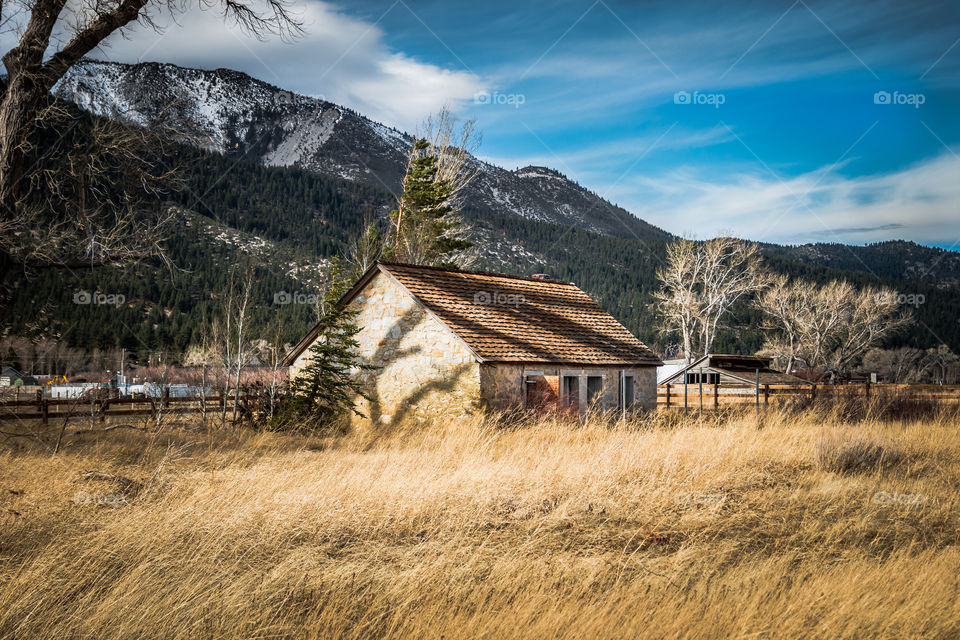 Abandoned Farmhouse 