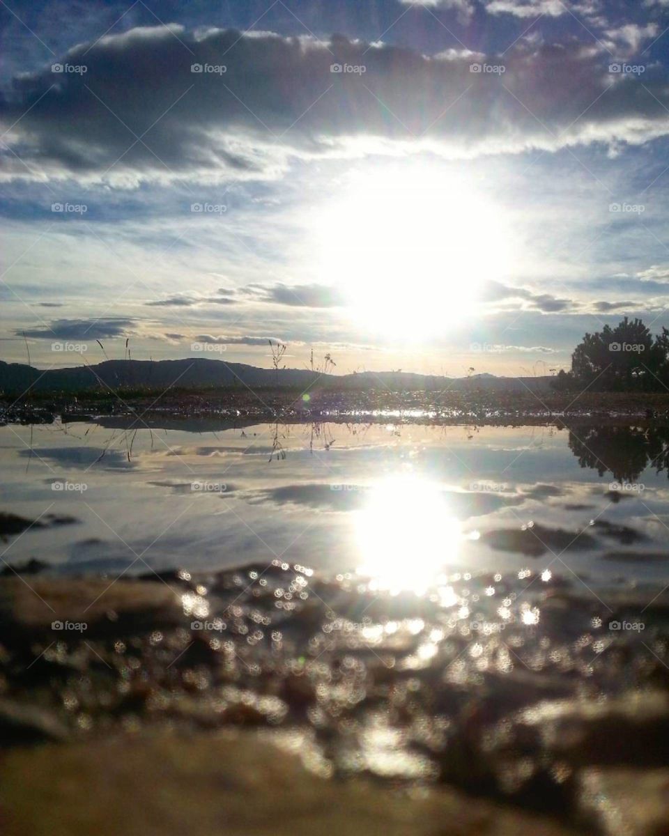 Mosaic of reflection