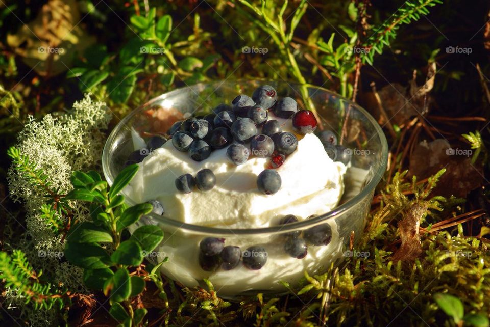 Blackberries on ice cream. 