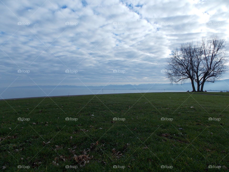 Landscape, Nature, Grass, Sky, No Person