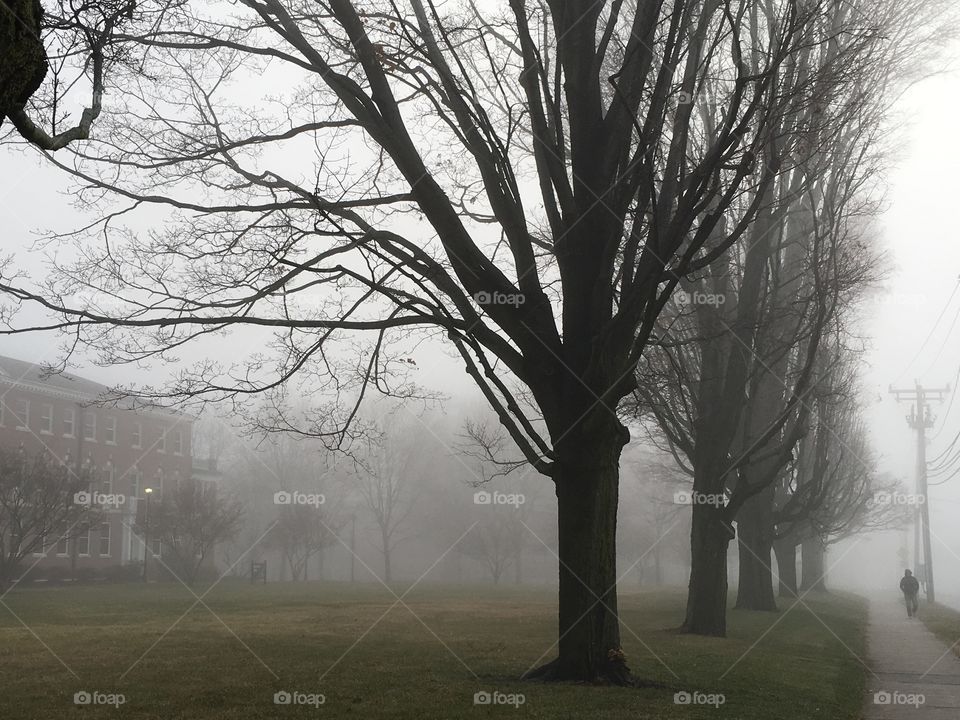 Foggy campus