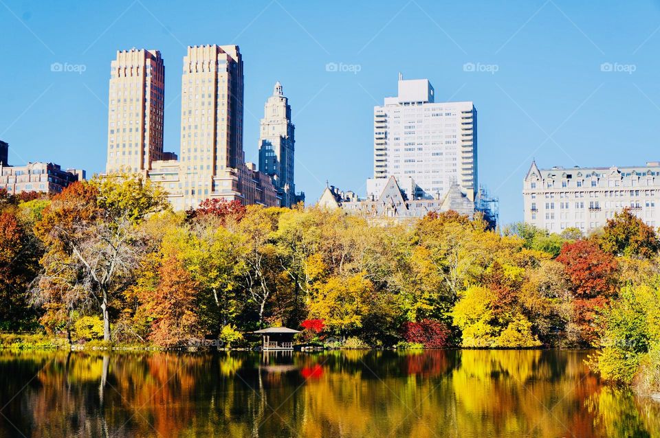 Autumn on the lake in Central Park.  A kaleidoscope of colors against the backdrop of the city skyline. 