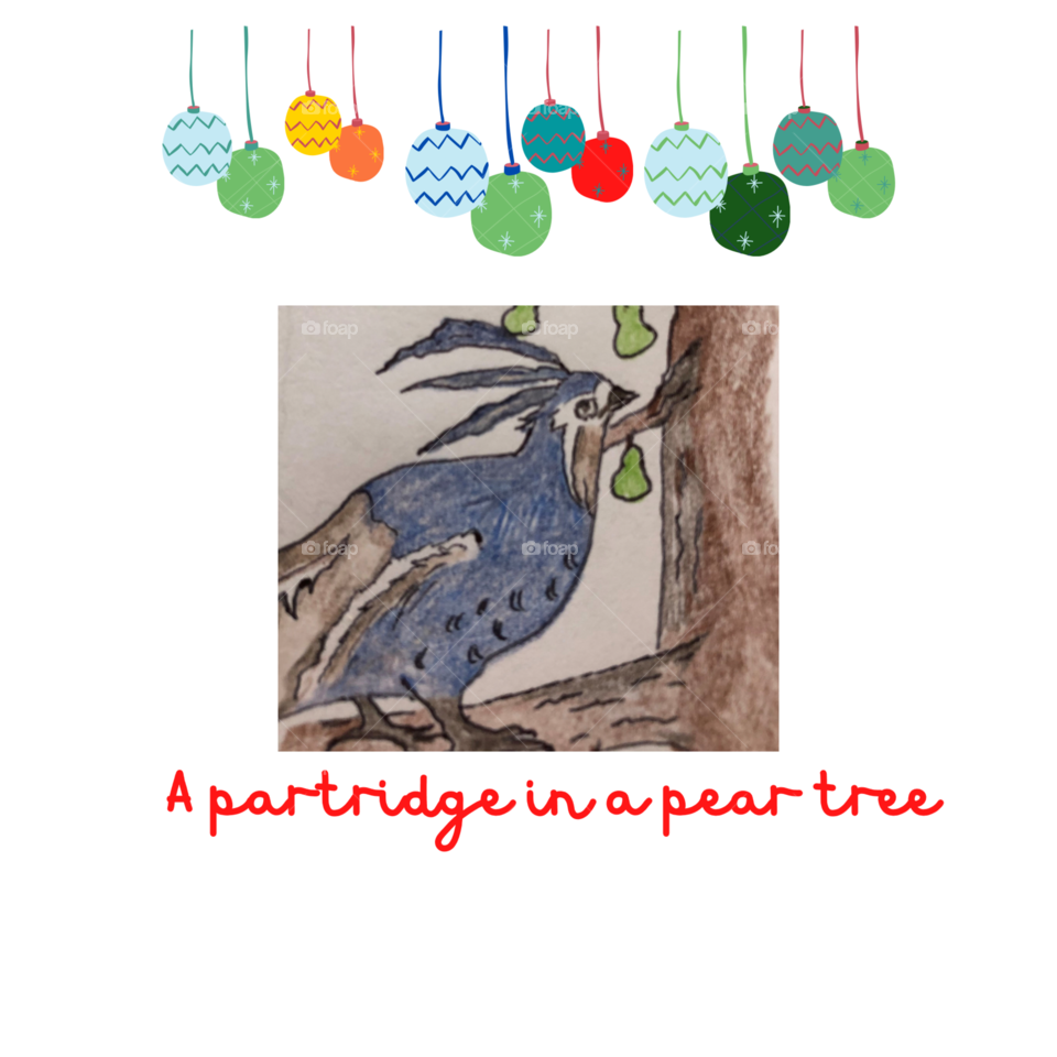 Partridge in a Pear Tree