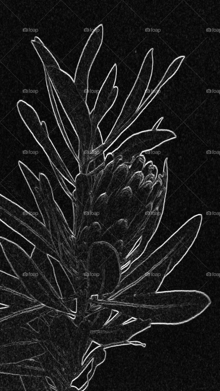 The beauty in this in interpreted by the viewer!