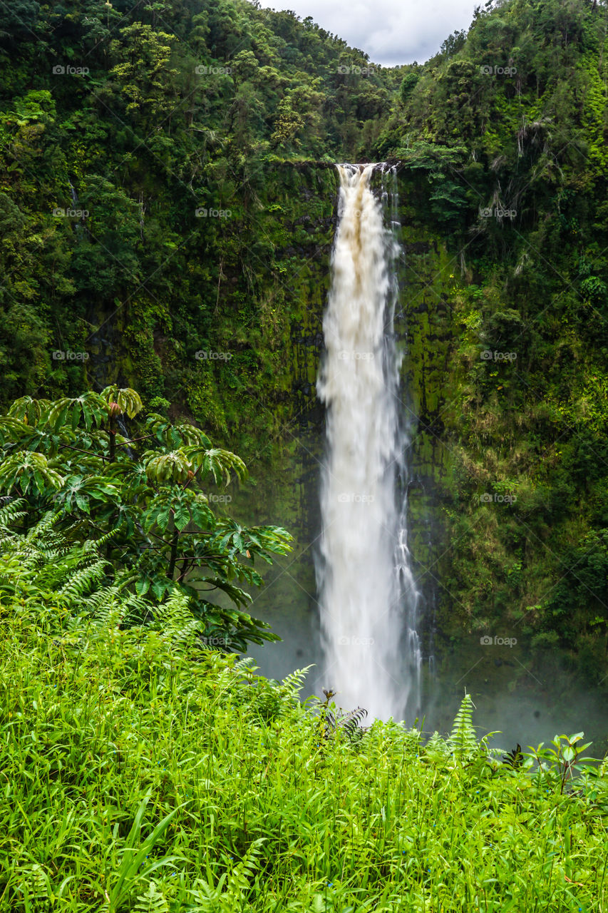 Akaka Falls