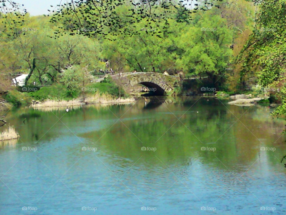 pond water bridge new york by bobmca1