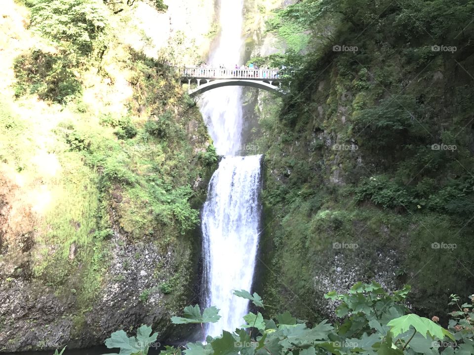 Multnomah Falls, Oregon