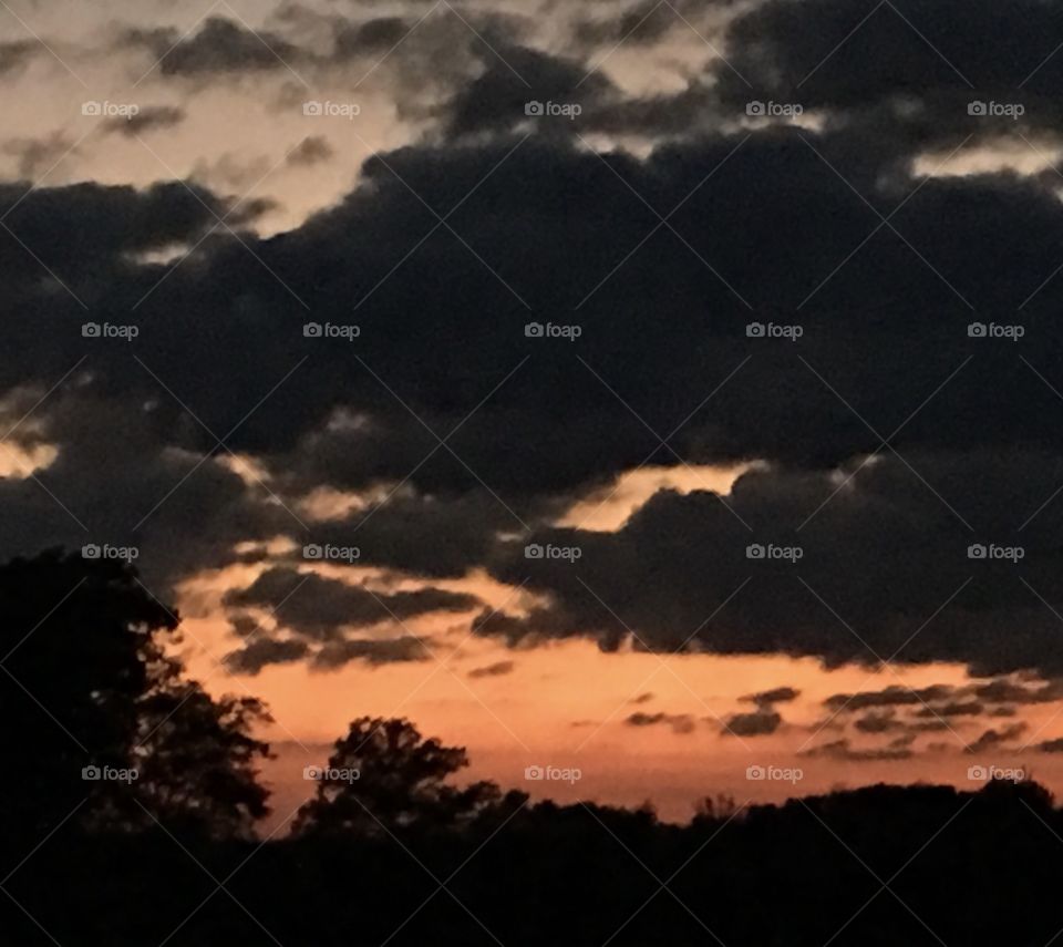 Orange & Black Sunset 