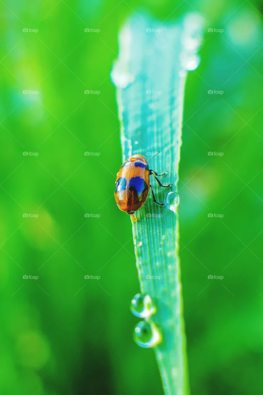 Editor's Choice: Photo of the Week