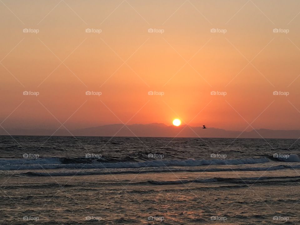 Sunrise & early bird 