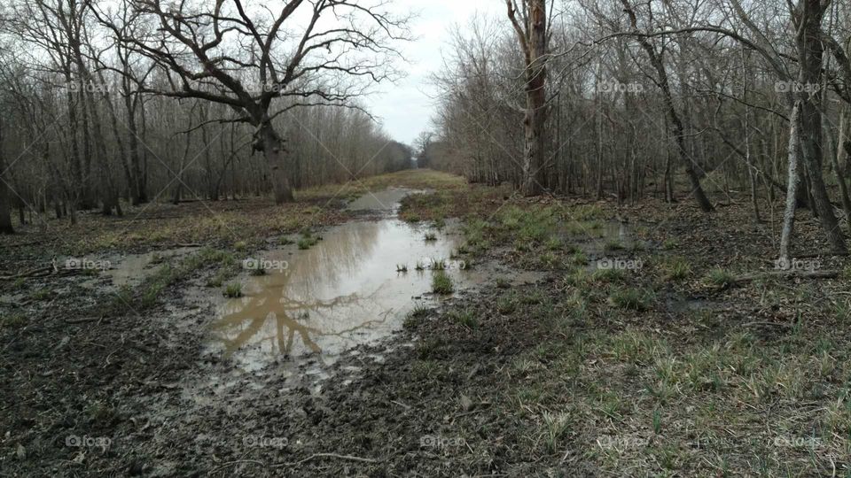 Muddy Foot Path in East Texas