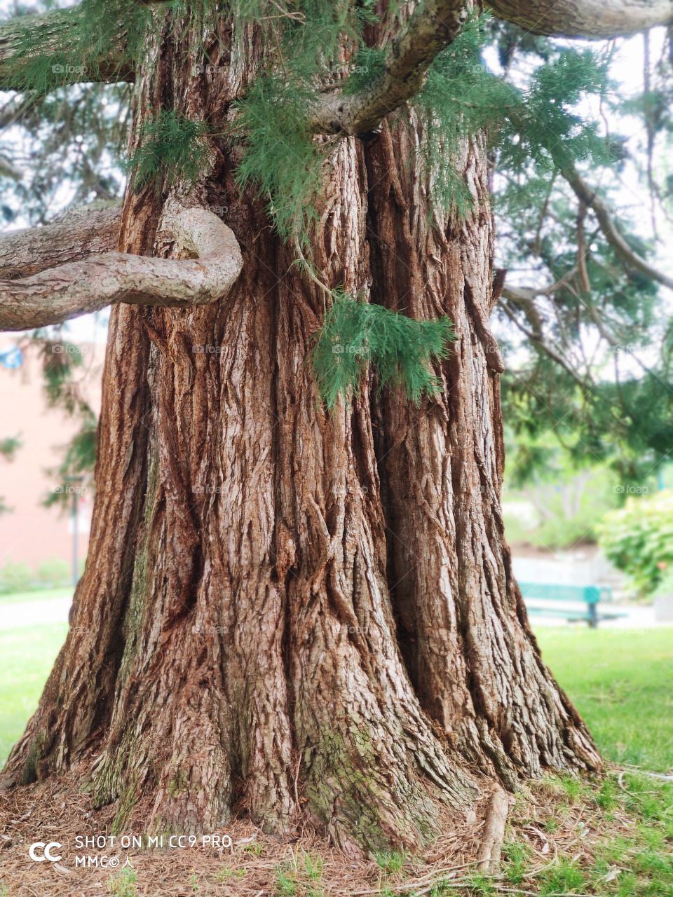 schools and universities