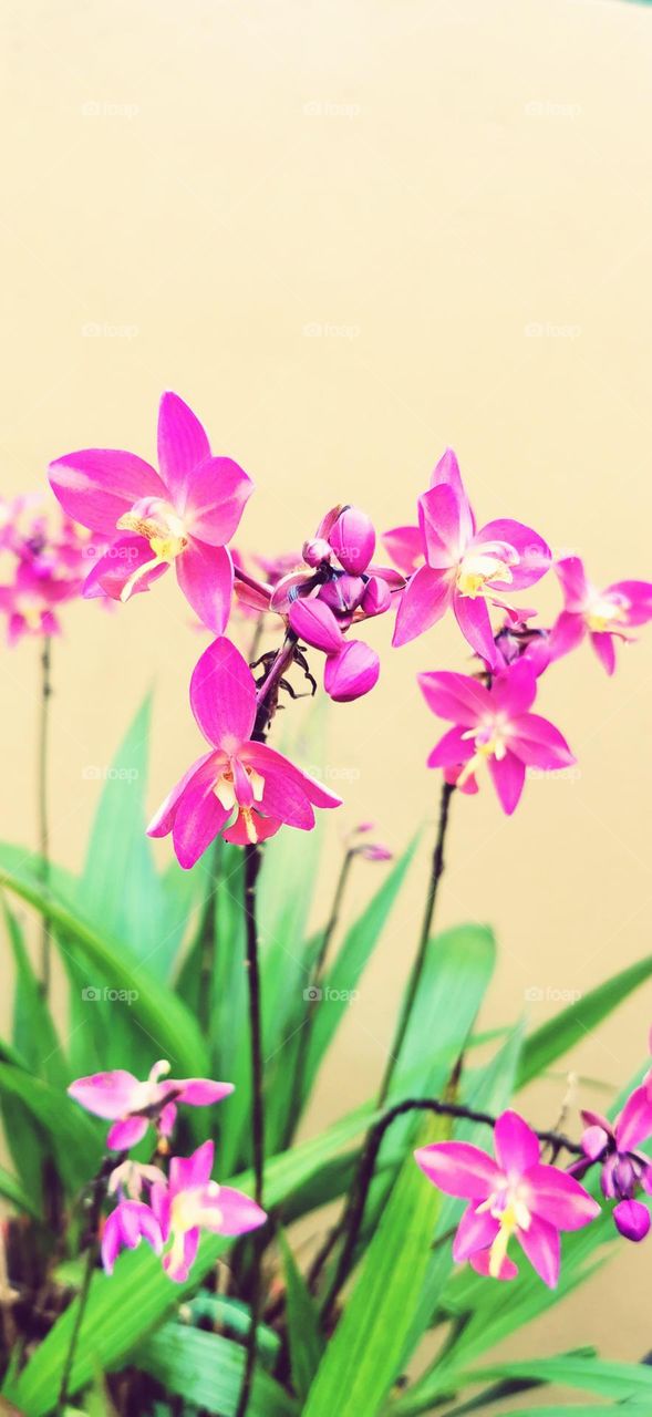 God bless those who buy this and help