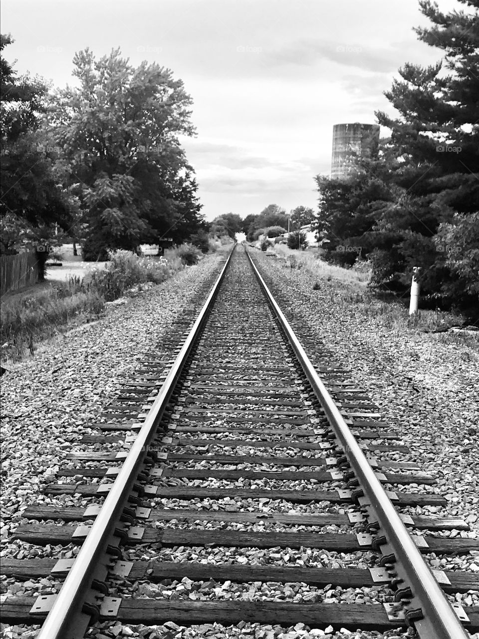 The railroad tracks leading to forever. 