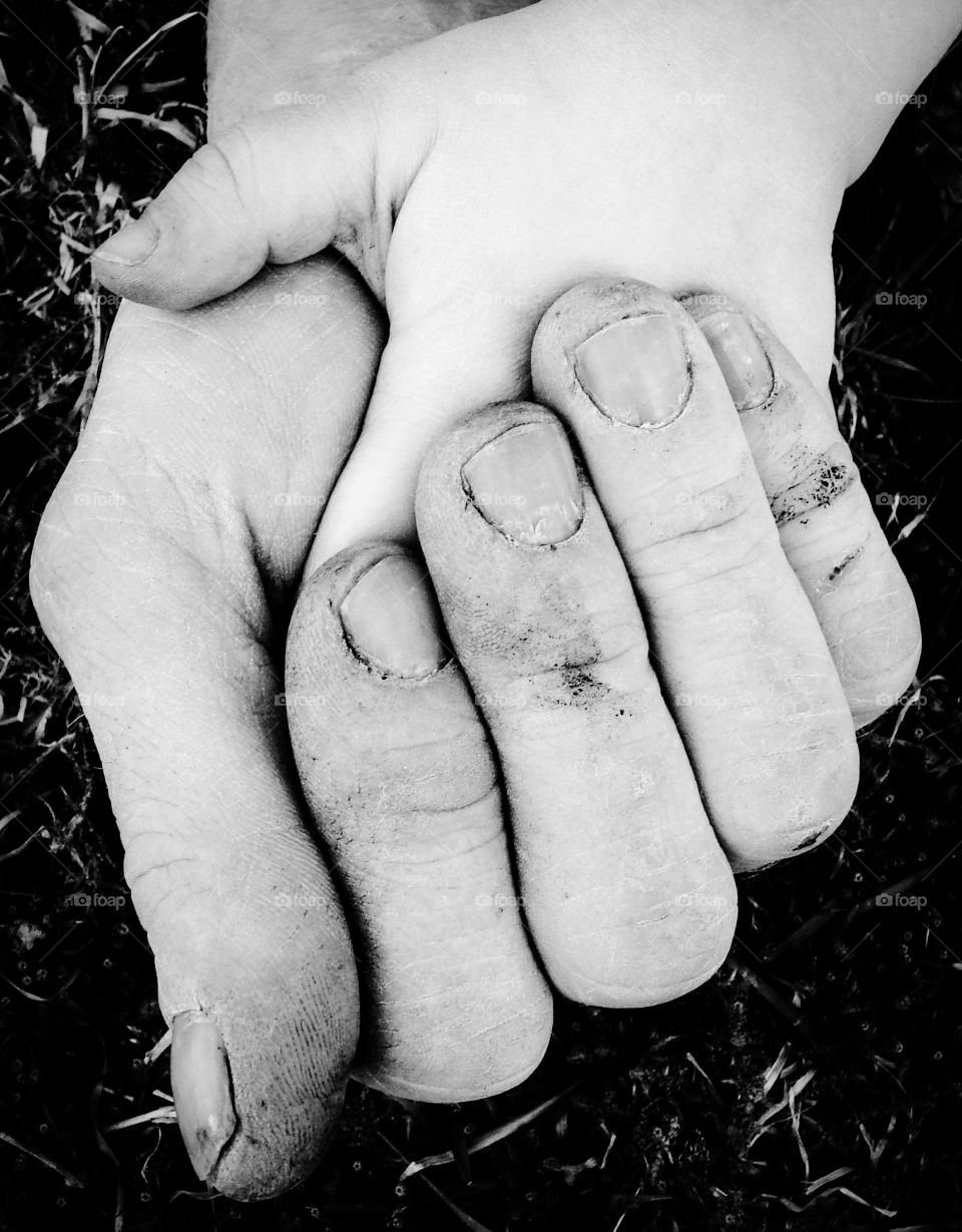 Cute hands. Father and daughter