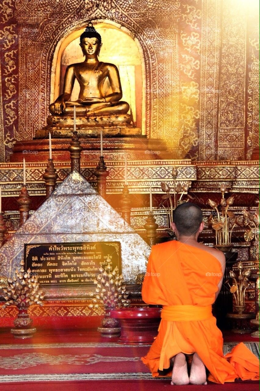 Faith in Buddha 