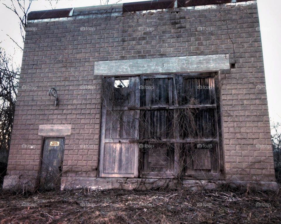 Abandoned building in Michigan covered in dead vines on an overcast gray sky evening