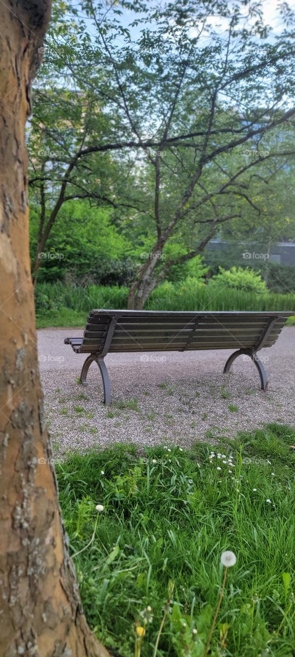 Bench