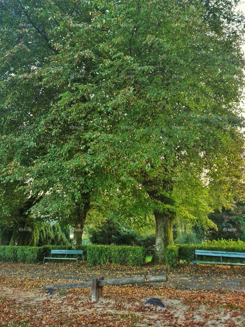Old Abandoned Seesaw