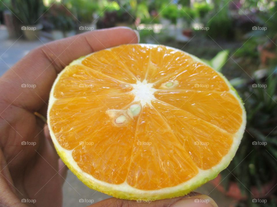 Orange half