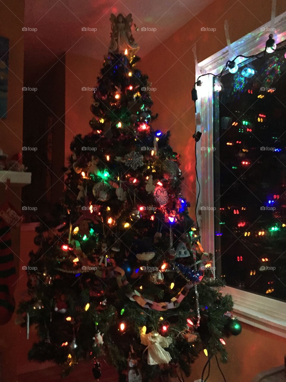 Decorated lit Christmas tree reflected in window. 