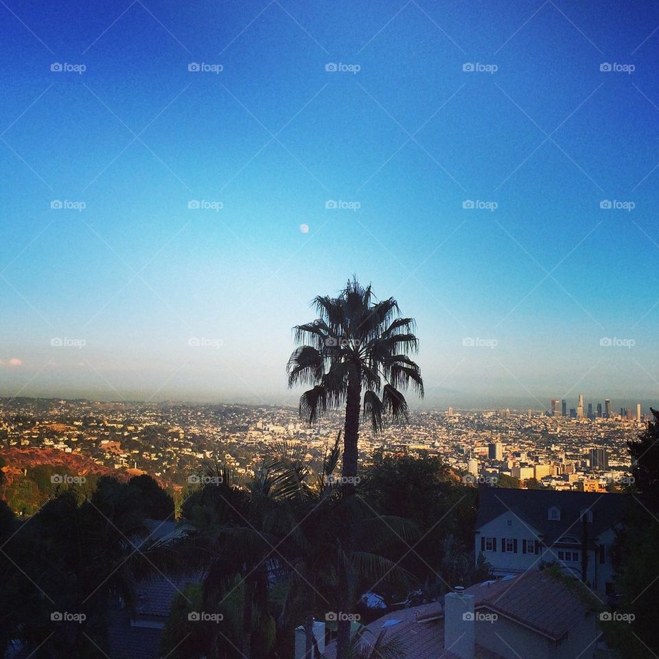 City View LA