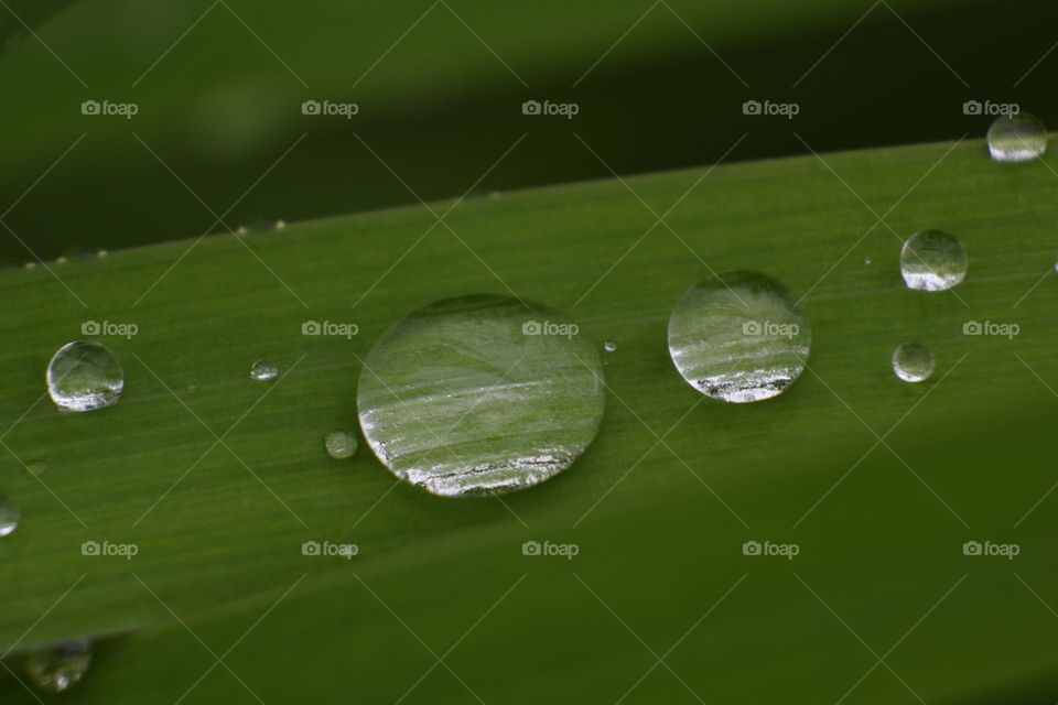 Water droplets are beautiful 