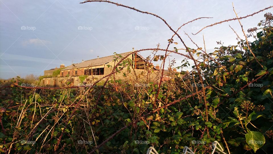 Overgrown Defensible Barracks