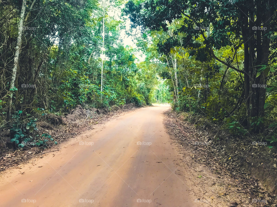 Mata de cumuruxatiba Bahia Brasil 🇧🇷