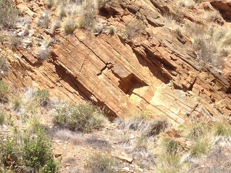 Uplifted sedimentary rock
