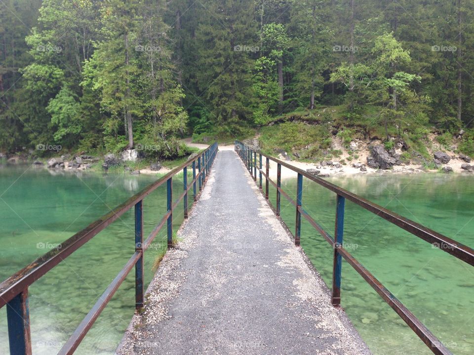 Way to the forest on South Germany