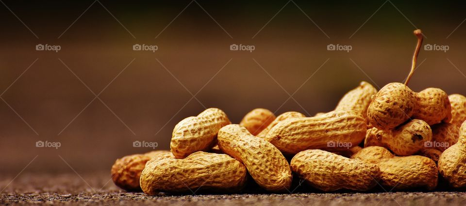 groundnut