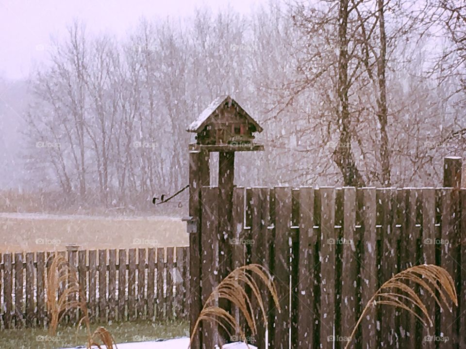 Birdhouse in winter