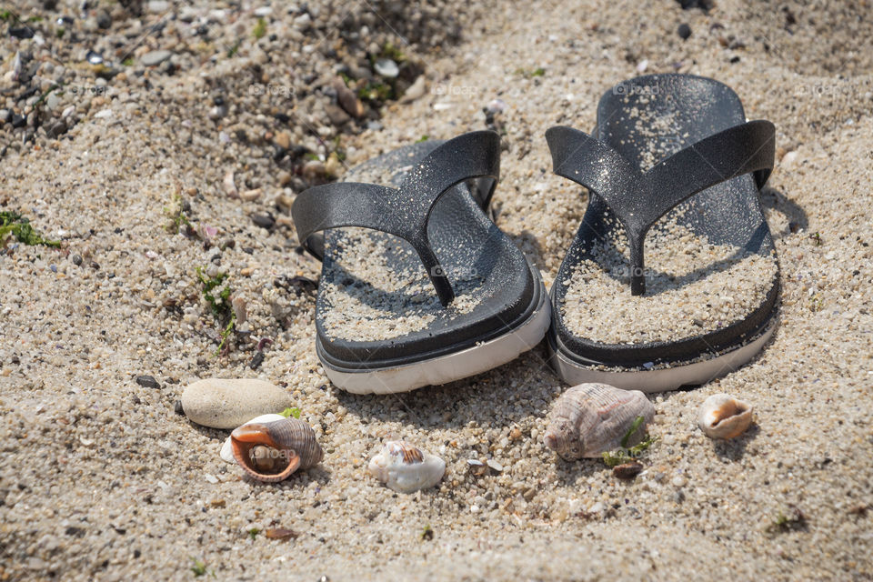 Sand, seashells and flip flops on the beach