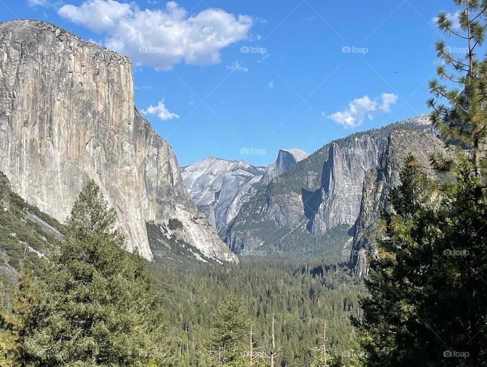 Peaceful Yosemite in October 