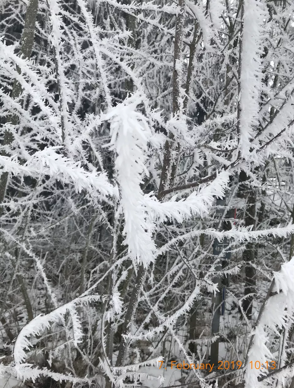 Winter time
