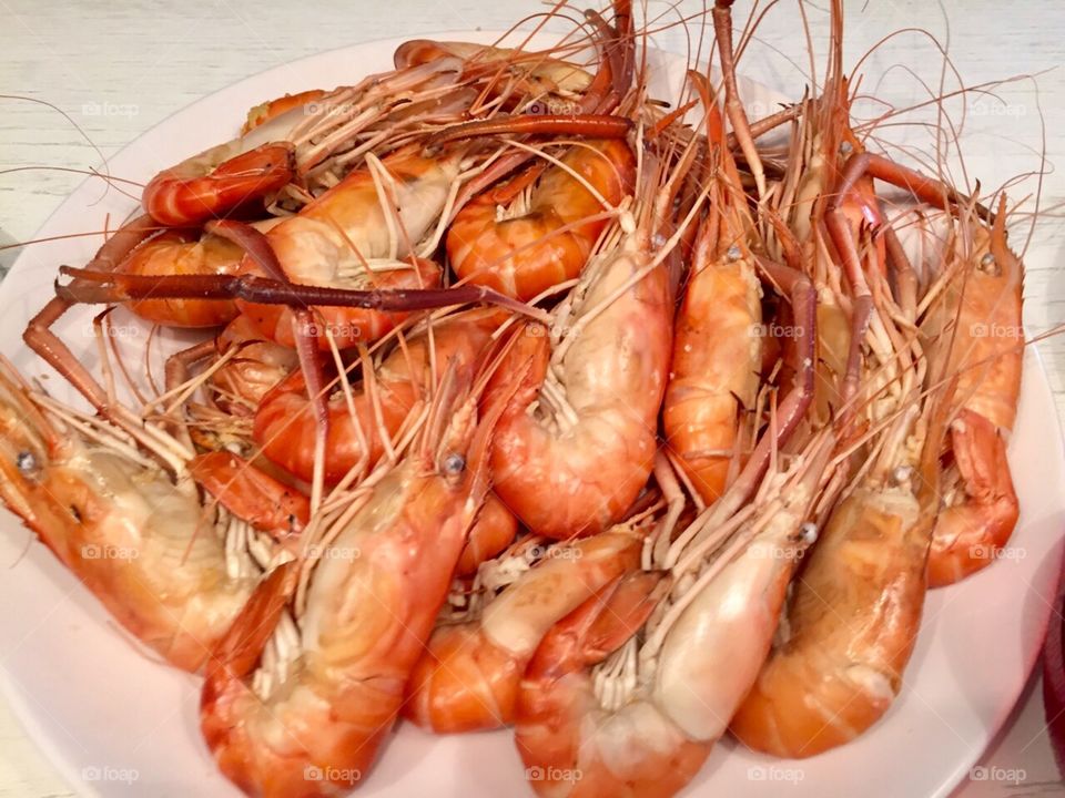 A lot of shrimps