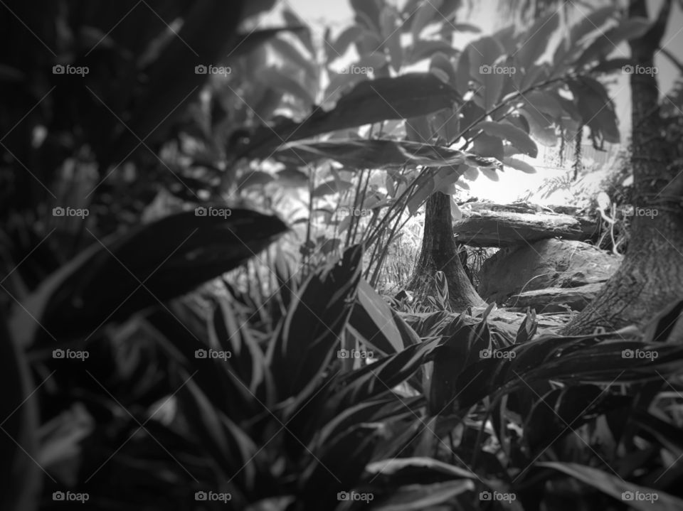 A place hidden behind the plans... a little bit of suspense and mystery for the treasures that may be found.